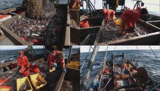 渔民把捕获的鱼拖上船高清在线视频素材下载