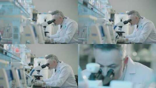 白胡子外籍专家实验室内操作显微镜高清在线视频素材下载