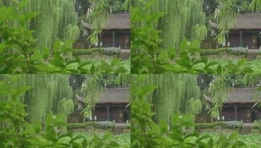 桂湖一景高清在线视频素材下载