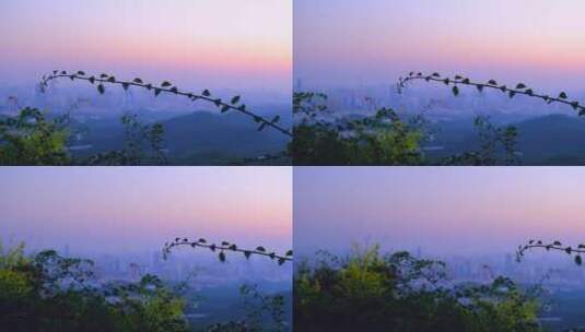 广州白云山黄昏夕阳下的城市风光高清在线视频素材下载