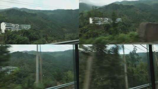 杭州临安西天目山的百年老树和森林高清在线视频素材下载