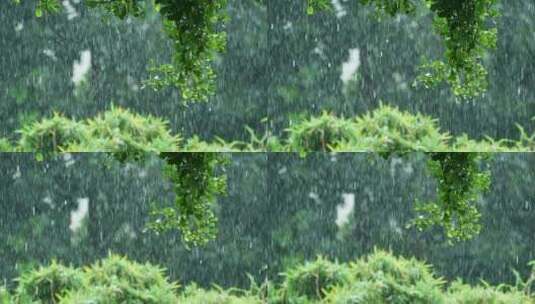 下大雨，雨水打湿树叶，雨滴滴落高清在线视频素材下载