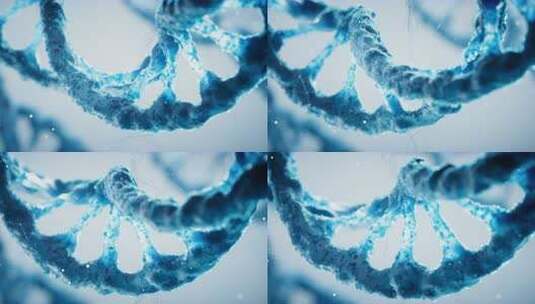 生物科技DNA基因结构三维渲染高清在线视频素材下载