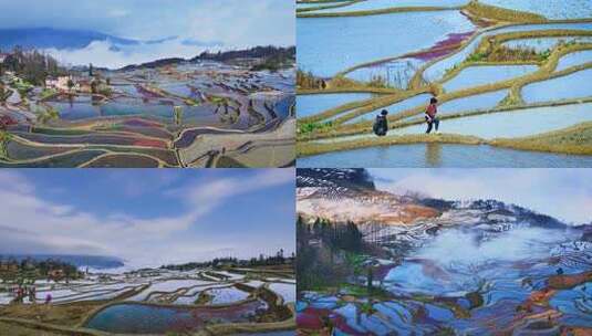 云南元阳爱春蓝梯田航拍合集4K高清在线视频素材下载