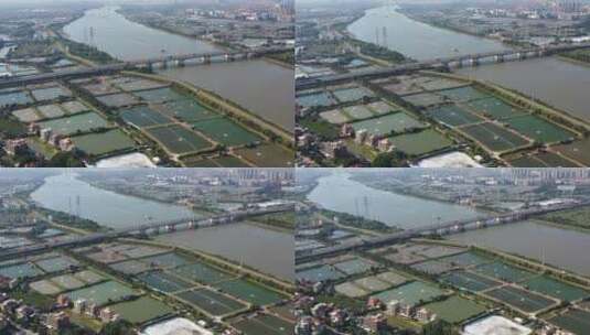 广东省佛山市鱼塘水产养殖场航拍高清在线视频素材下载