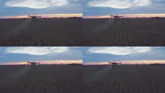无人机在农田喷洒农药高清在线视频素材下载