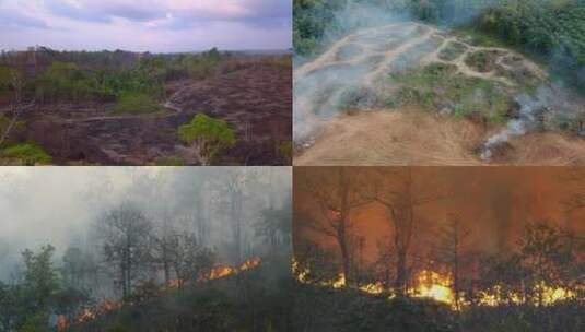 热带雨林森林大火组合镜头高清在线视频素材下载