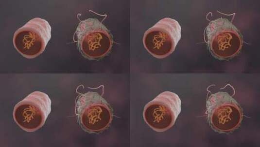 医学病原体病毒病原体病菌细菌医学三维动画高清在线视频素材下载