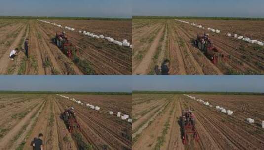 航拍机械收获红薯！航拍农业高清在线视频素材下载