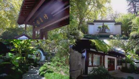 杭州西湖十景曲院风荷竹素园风景4K视频合集高清在线视频素材下载