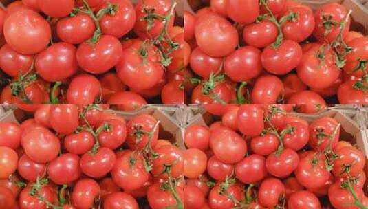红番茄的特写镜头高清在线视频素材下载