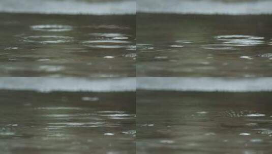 下雨雨点慢镜头4K实拍 (1)高清在线视频素材下载