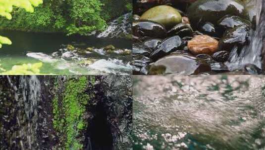 雨生命力生命森林水流水雨滴溪流山泉水山水高清在线视频素材下载