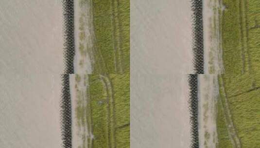 航拍海岸整齐的石头高清在线视频素材下载