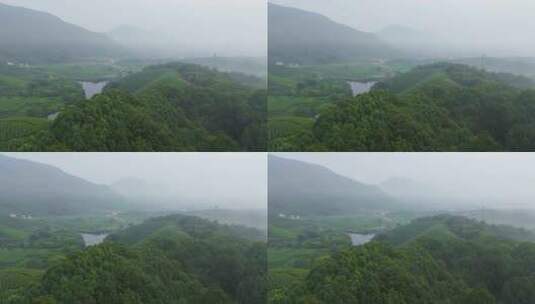 杭州西湖区龙坞龙井茶园晨曦航拍高清在线视频素材下载