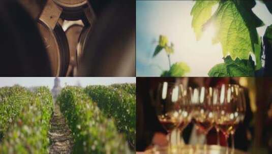 意境红酒广告宣传片葡萄酒生产酿造视频素材高清在线视频素材下载