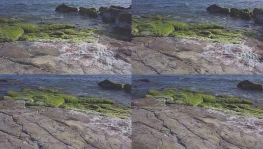 海礁上的海藻高清在线视频素材下载