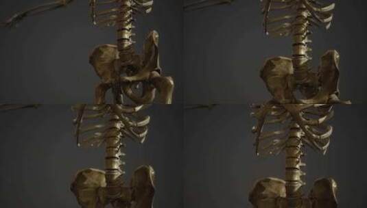 人体骨骼 人体模型高清在线视频素材下载