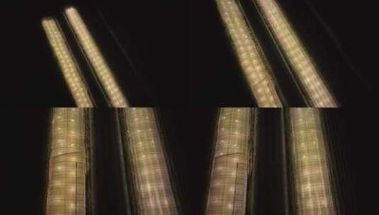 温室大棚夜间补光 (2)高清在线视频素材下载
