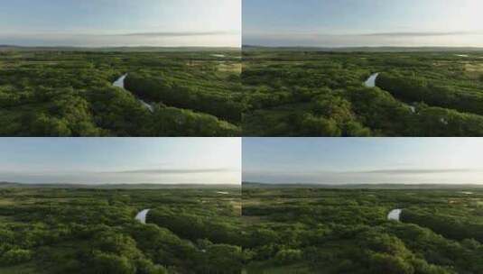 大兴安岭风光夏天湿地河流湿地自然风景高清在线视频素材下载