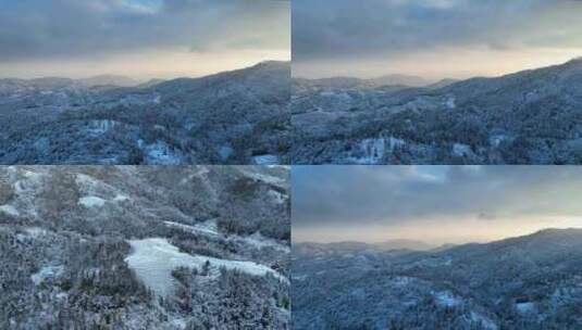 【4K】武夷山茶园雪景航拍高清在线视频素材下载