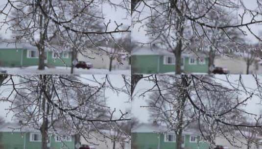 冻雨过后冻住的树木，和其他景物高清在线视频素材下载