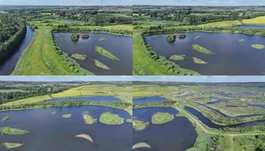 RSPB St Aidan's高清在线视频素材下载