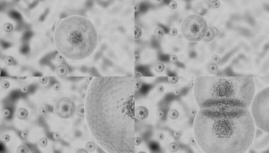 细胞分裂过程高清在线视频素材下载