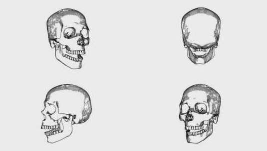 素描风格人类头骨黑白彩色循环动画高清在线视频素材下载