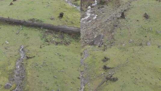 川西沙埋湖水高海拔自然风光视频素材高清在线视频素材下载