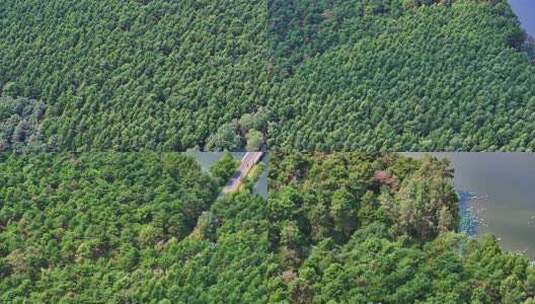 航拍长春市净月潭国家级风景名胜区森林湖泊高清在线视频素材下载