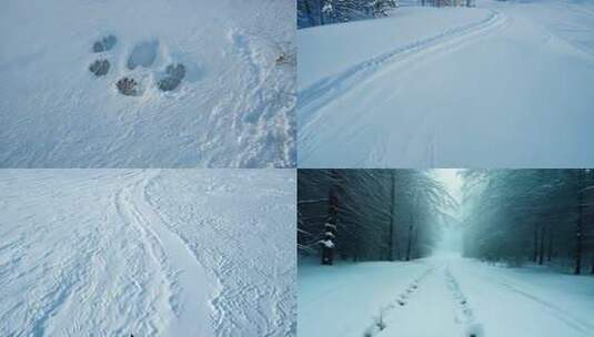 雪地里的老虎脚印 (1)高清在线视频素材下载