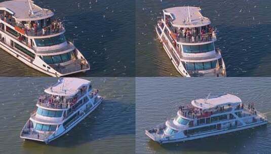 航拍滇池游船与海鸥高清在线视频素材下载