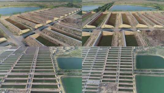 航拍宁夏灵武白笈滩温室大棚3高清在线视频素材下载