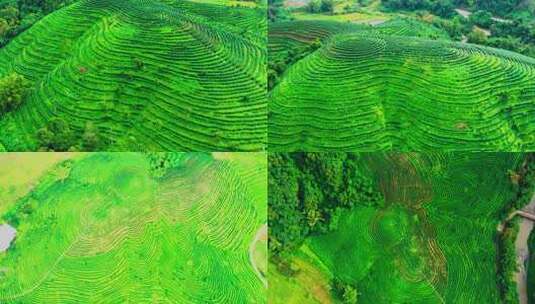 海南五指山牙胡梯田航拍高清在线视频素材下载