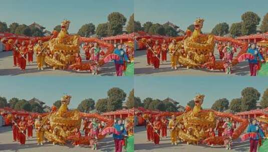 舞龙表演民俗活动场景高清在线视频素材下载