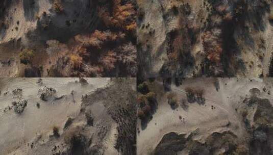 俯拍沙地高清在线视频素材下载