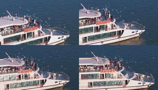 航拍滇池游船与海鸥高清在线视频素材下载