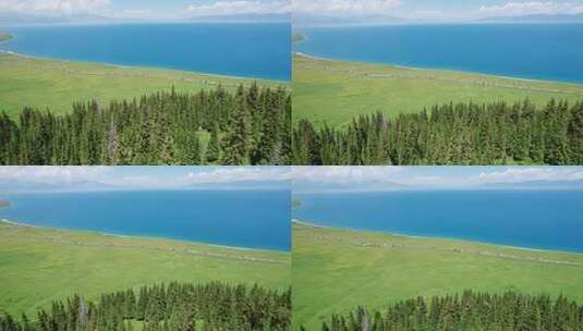 赛里木湖云杉区航拍视角高清在线视频素材下载