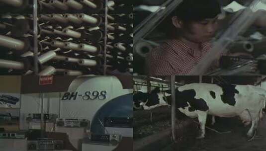 80年代深圳工业园区 电子服装收音机光碟高清在线视频素材下载