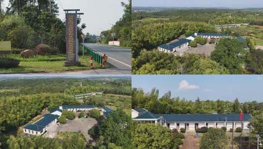 鄂州市国家级野生动物监测站1高清在线视频素材下载