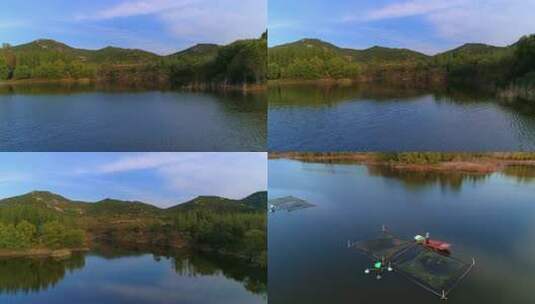 十里平湖平湖秋月养鱼高清在线视频素材下载