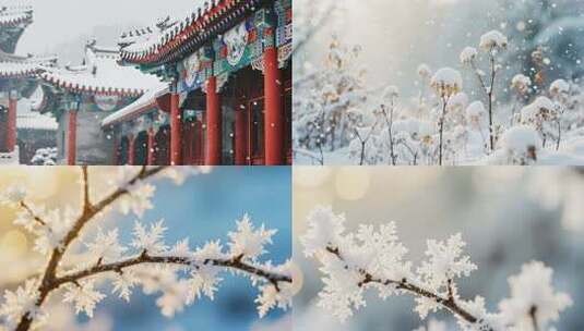 雪立冬冬至森林大雪小雪雪景雾凇高清在线视频素材下载