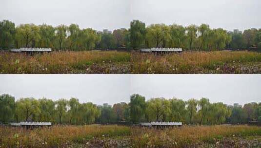 河北省石家庄市裕西公园高清在线视频素材下载