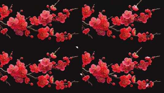 红色梅花枝干特写素材高清在线视频素材下载