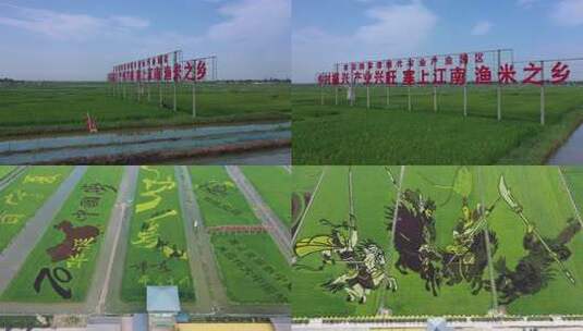 宁夏稻田艺术-稻田画2【4K】高清在线视频素材下载