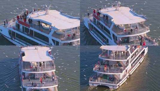 航拍滇池游船与海鸥高清在线视频素材下载