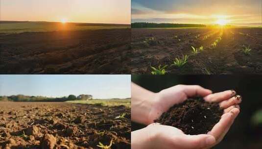 手捧土壤希望的田野与生命萌芽土地黑土地高清在线视频素材下载