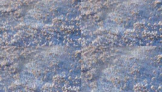 秋日雪后山林秋雪雾凇银装素裹高清在线视频素材下载