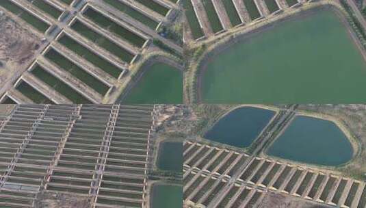 宁夏灵武白笈滩温室大棚航拍4高清在线视频素材下载